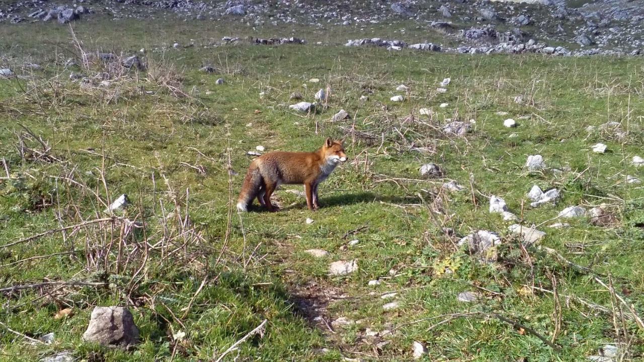 Natour L'Ostello Per I Camminatori Barisciano Dış mekan fotoğraf